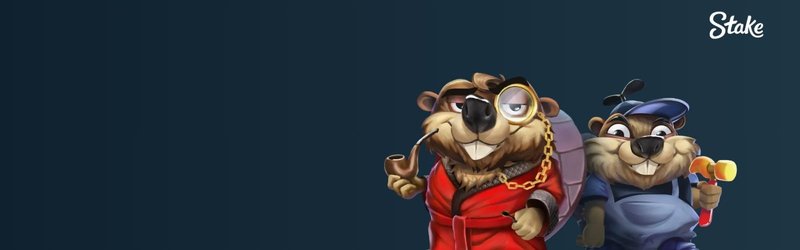 Les programmes de fidélité offerts par Stake Casino - aperçu